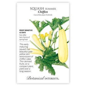 Summer Squash Seeds – Botanical Interests – Chiffon