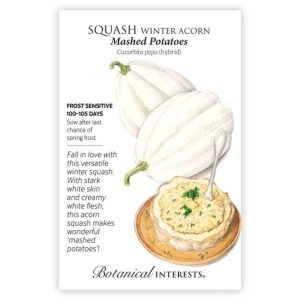 Winter Squash Seeds – Botanical Interests – Mashed Potatoes Acorn