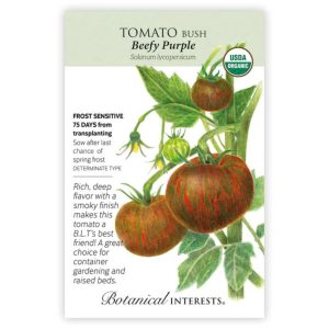 Bush Tomato Seeds – Botanical Interests – Beefy Purple (Organic)