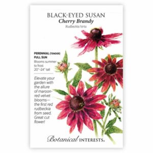 Botanical Interests - Black-Eyed Susan - Cherry Brandy Seeds