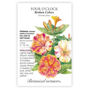 Four O’Clock Seeds – Botanical Interests – Broken Colors
