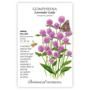 Gomphrena Seeds – Botanical Interests – Lavender Lady