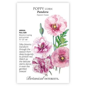 Corn Poppy Seeds – Botanical Interests – Pandora