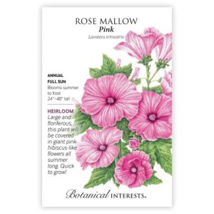 Rose Mallow Seeds – Botanical Interests – Pink