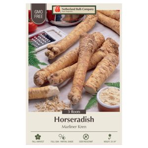 Horseradish – Marliner Kren – 3 Pack