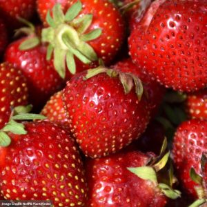 Strawberry – Delizz – 10″ Hanging Basket