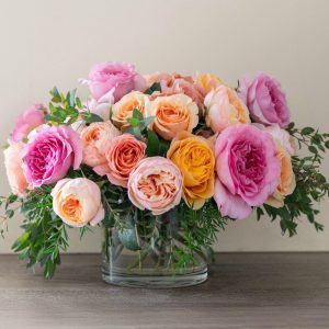 Rose Reverie