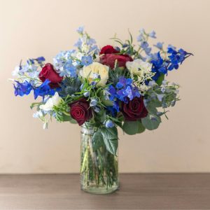 Delphinium Delight