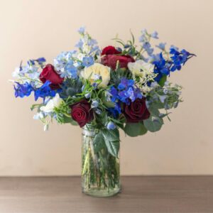 Delphinium Delight
