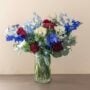Delphinium Delight