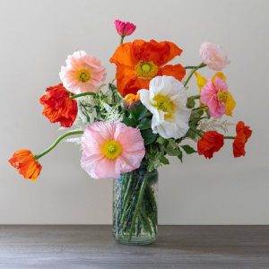 Poppy Medley