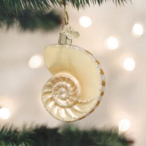 Nautilus Shell Glass Ornament - Old World Christmas