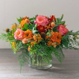 Marigold Magic