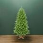 Balsam Fir Tree - 5'