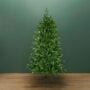 Fraser Supreme Fir Tree - 5'