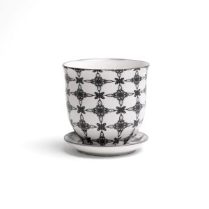 Liberte Pot With Saucer - Chive - Black Star - 3.25"