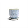 Liberte Pot With Saucer - Chive - Blue Birds - 3.25"