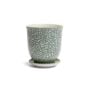 Liberte Pot With Saucer - Chive - Green Leaves - 3.25"