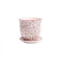 Liberte Pot With Saucer - Chive - Red Bird - 3.25"
