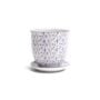 Liberte Pot With Saucer - Chive - Blue Feathers - 3.25"