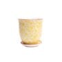 Liberte Pot With Saucer - Chive - Yellow Flowers - 3.25"
