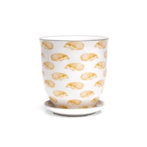 Liberte Pot With Saucer - Chive - Hedgehog - 3.25"