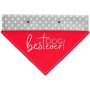 Best Dog Ever Canvas Slip-On Pet Bandana – Pavilion’s Pets – 12″x8″