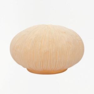 Round Coral Lamp - Batela - 11"