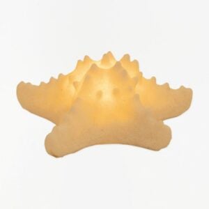 Starfish Lamp – Batela – Battery Operated – 7″
