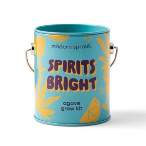 Grow Kit Spirits Bright Agave – Modern Sprouts