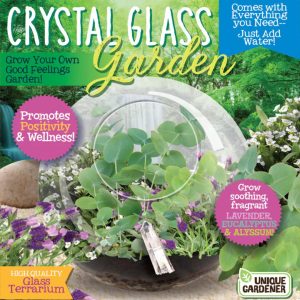Seed Starting Terrarium – Crystal Glass Garden