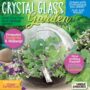 Seed Starting Terrarium – Crystal Glass Garden