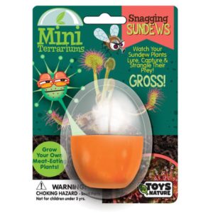 Mini Terrarium – Snagging Sundews