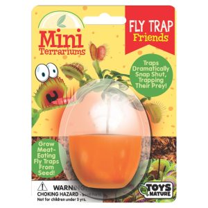 Mini Terrarium – Fly Trap