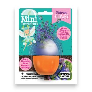 Mini Terrarium – Faries Flower