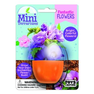Mini Terrarium – Fantastic Flower