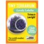 Tiny Terrarium – Lovely Lobelia
