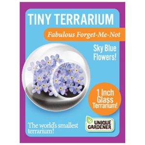 Tiny Terrarium – Fabulous Forget-Me-Not