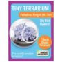 Tiny Terrarium – Fabulous Forget-Me-Not