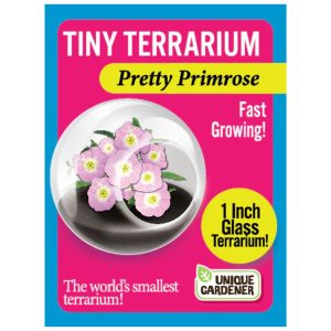 Tiny Terrarium – Pretty Primrose