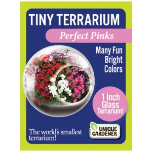 Tiny Terrarium – Perfect Pinks