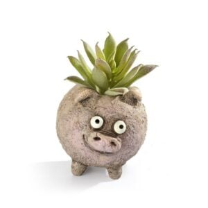 Henrietta the Pig Planter – 2.75″