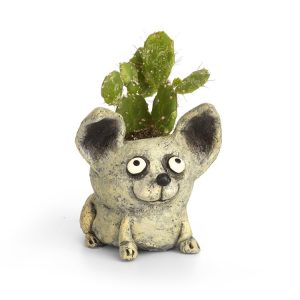 Chico the Dog Planter - Blobhouse - 3.5"