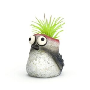 Baby Winnie the Woodpecker Planter – Blobhouse – 2.5″