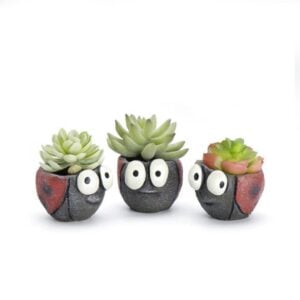 Ladybug Mini Planter Set – Blobhouse – 2.75″