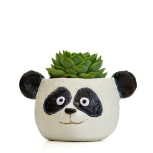 Mochi the Panda Head Planter - Blobhouse