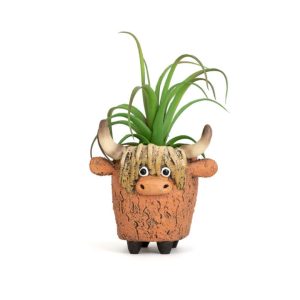 Dougal the Highland Cow Planter - Blobhouse