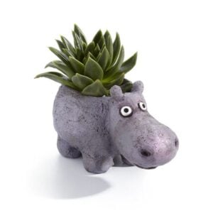 Hazel the Hippo Planter - Blobhouse - 2.625"