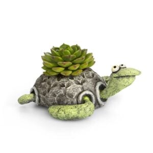 Kai the Sea Turtle Planter – Blobhouse – 2.5″