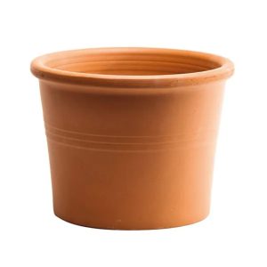 Italian Lipped Cylinder Pot – Border Concepts – Terra Cotta – 8.75″